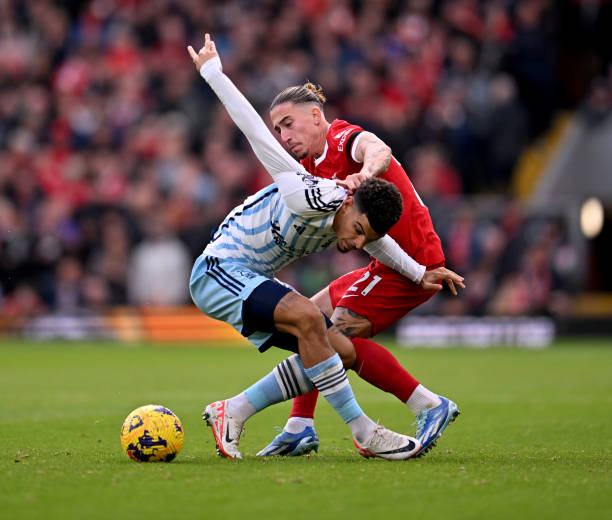 早晨阳光洒 早晨阳光洒