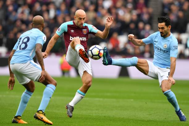 他们研究对 他们研究对