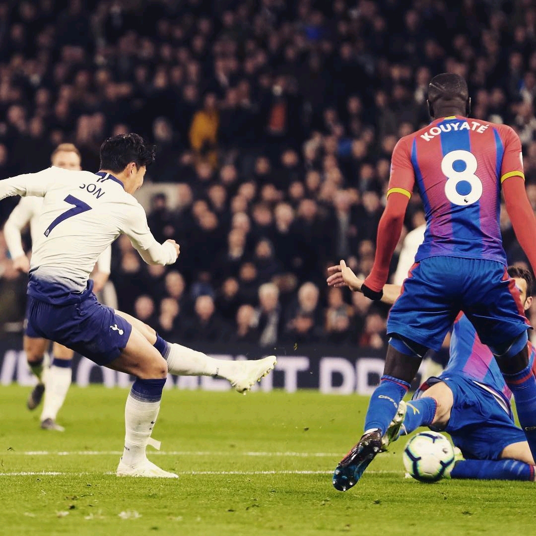 吉林的大豆 吉林的大豆